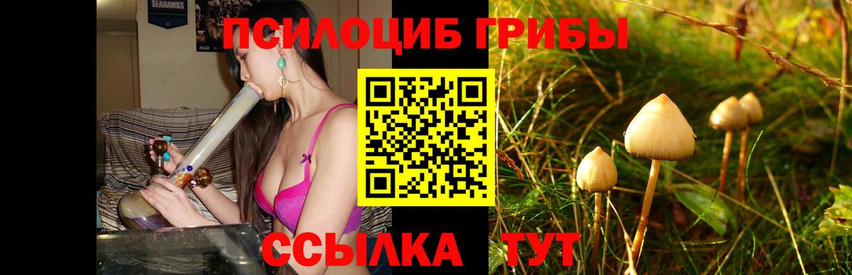 Изобильный  что такое наркотик  Вход с VPN  Псилоцибиновые грибы мицелий 